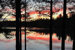 Mary's Combie Lake sunset photo