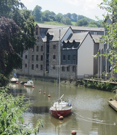 mosaic collection image