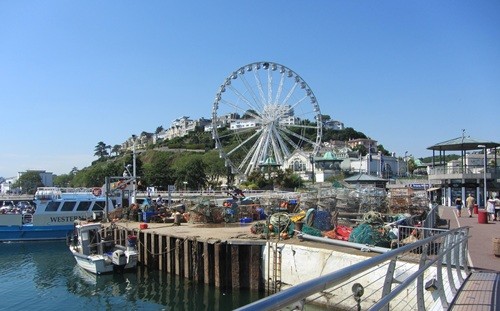 mosaic collection image