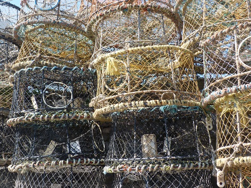 mosaic collection image