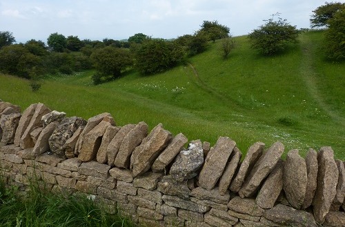 mosaic collection image