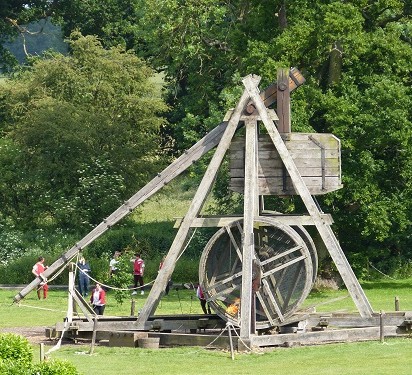 mosaic collection image