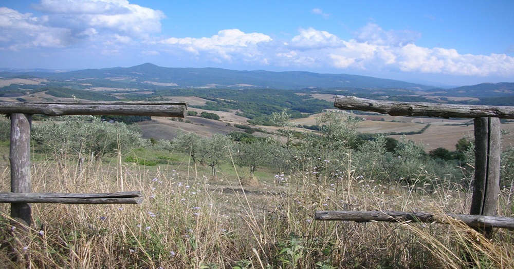 mosaic collection image