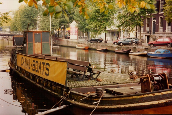 mosaic collection image