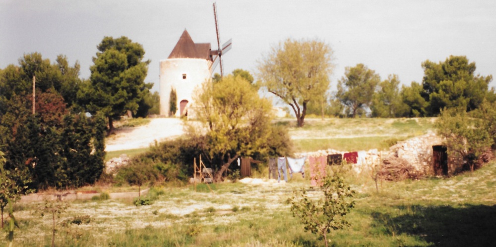 mosaic collection image