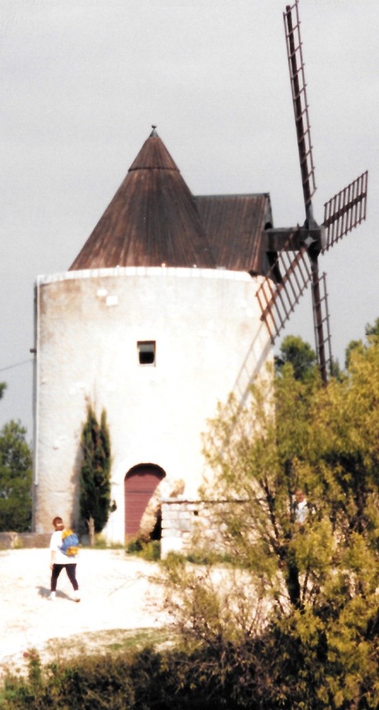 mosaic collection image