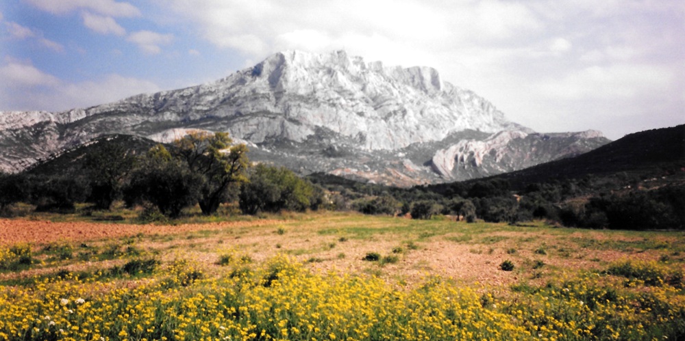 mosaic collection image