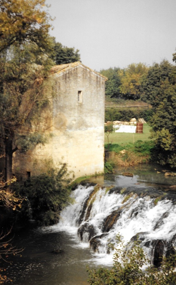 mosaic collection image