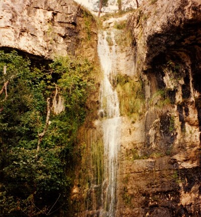 mosaic collection image