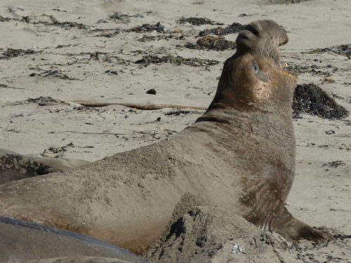 mosaic collection image