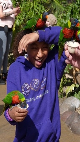 mosaic collection image