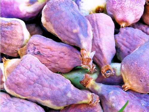 mosaic collection image