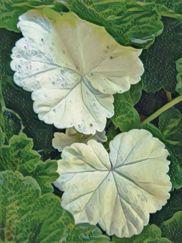 mosaic collection image