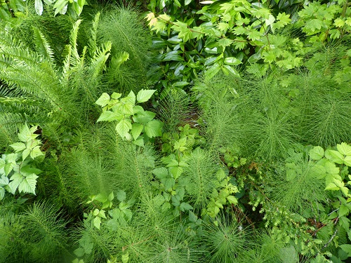 mosaic collection image