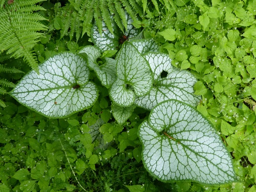 mosaic collection image