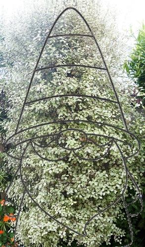 mosaic collection image