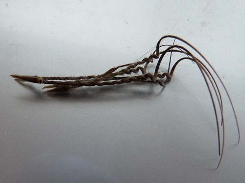 mosaic collection image