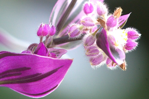 mosaic collection image