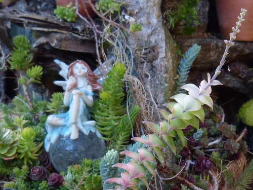 mosaic collection image