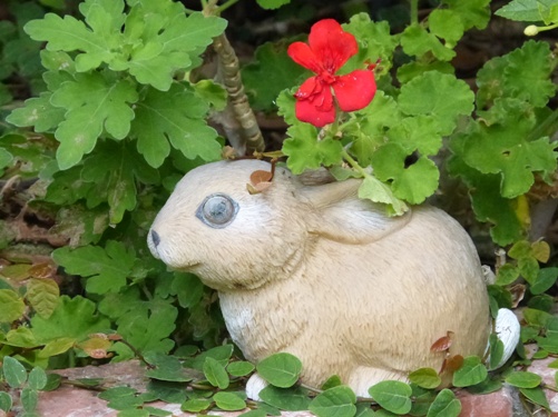 mosaic collection image