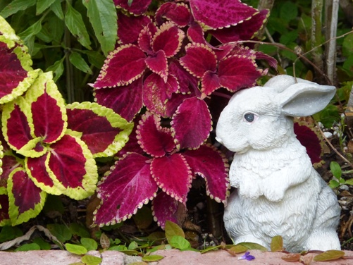 mosaic collection image