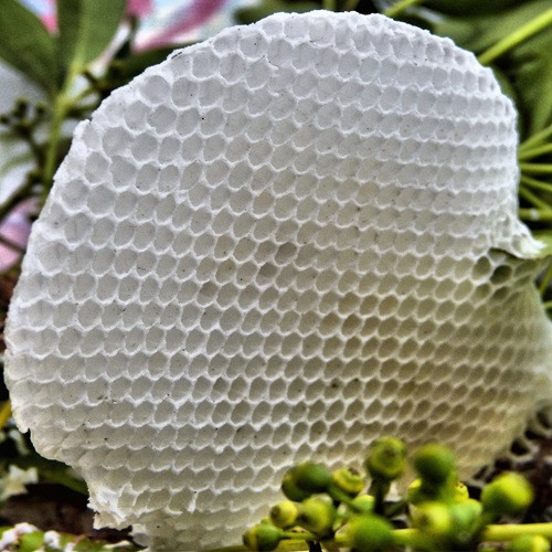 mosaic collection image