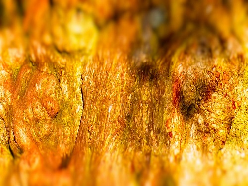 mosaic collection image