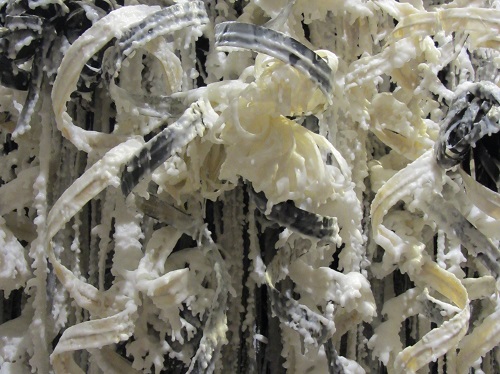 mosaic collection image