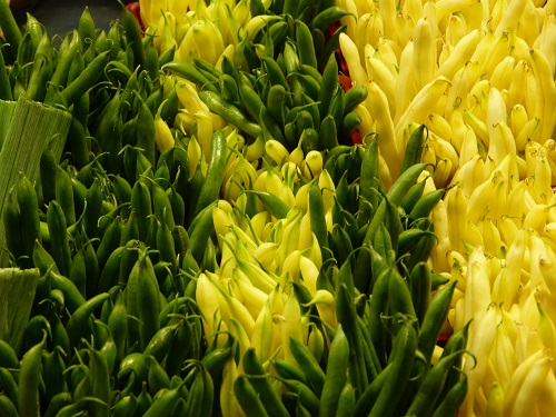 mosaic collection image