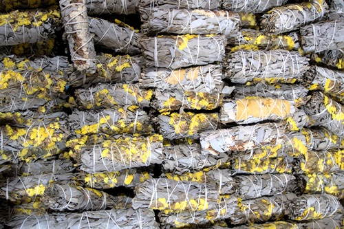 mosaic collection image