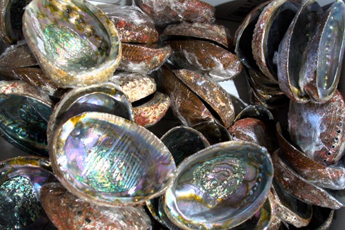 mosaic collection image