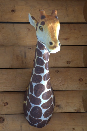 mosaic collection image