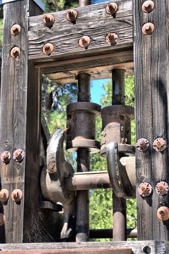 mosaic collection image