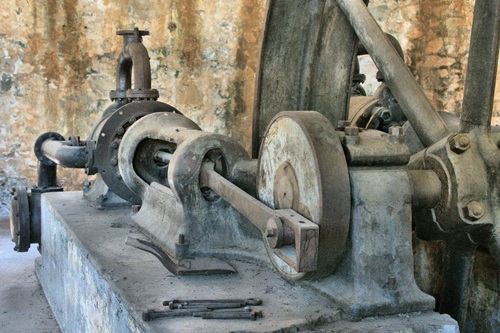 mosaic collection image