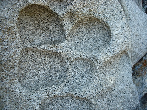 mosaic collection image