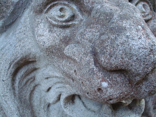 mosaic collection image