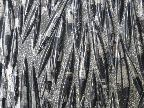 mosaic collection image