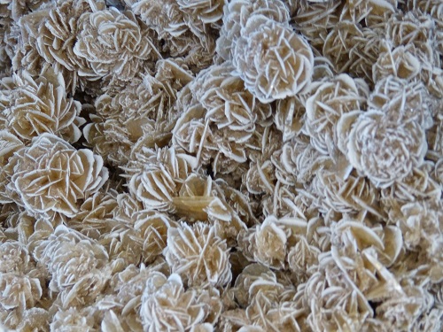 mosaic collection image