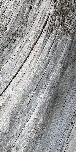 mosaic collection image