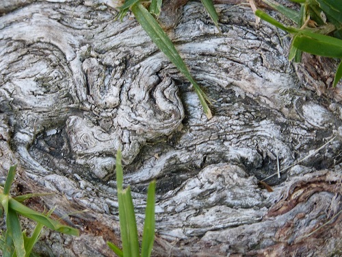 mosaic collection image