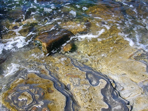 mosaic collection image