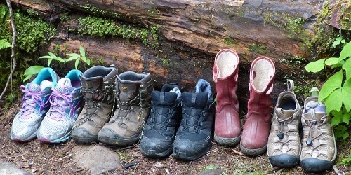 mosaic collection image