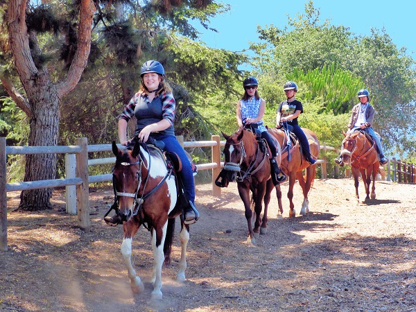 mosaic collection image