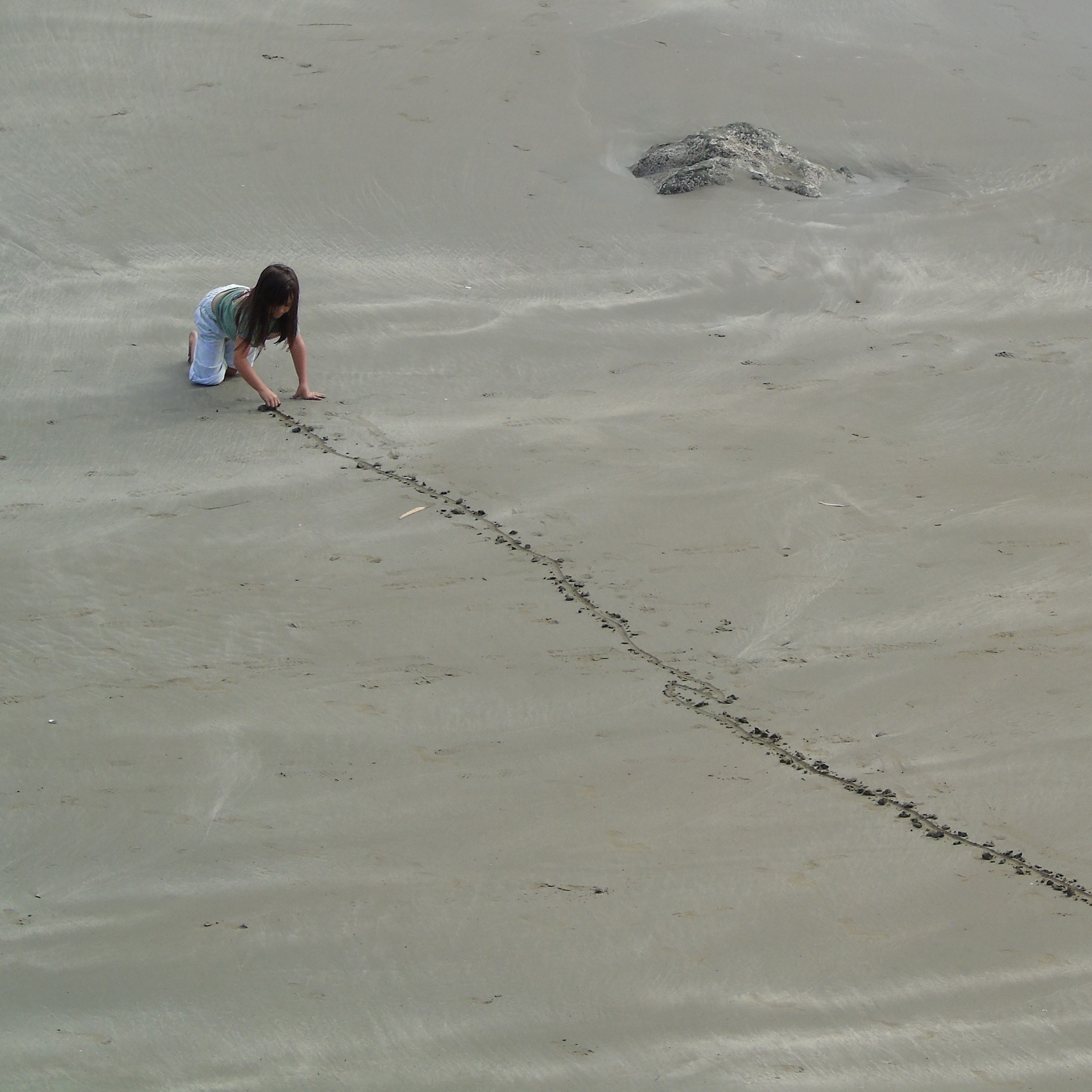 mosaic collection image