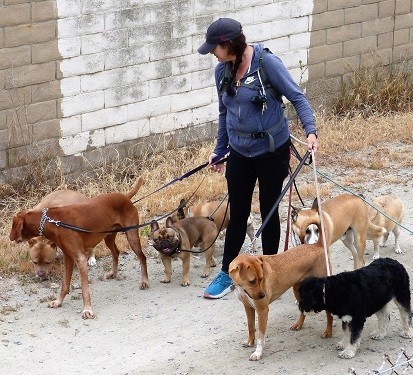 mosaic collection image