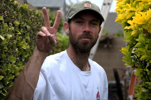 mosaic collection image