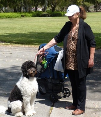 mosaic collection image