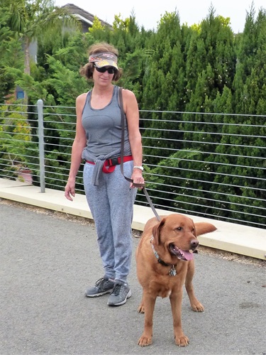 mosaic collection image