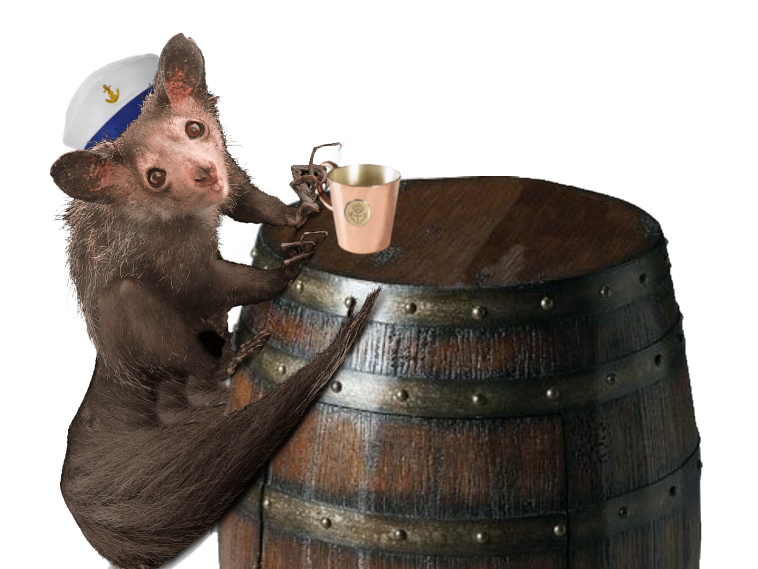 Aye aye posing a toast