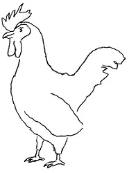 Chicken doodle